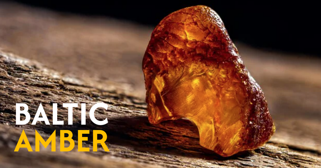 如何辨別真琥珀與假琥珀？